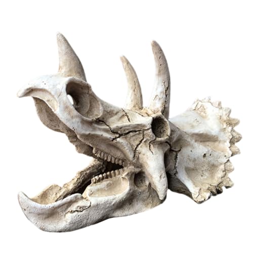 FIXOSHEE Langlebige Harz Dinosaurier schädel Aquarium Deko Realistische Unterwasser versteckhöhle für Garnelen und Kleine Fische Abriebfestes Verblassungsfreies Terrarium Ornament von FIXOSHEE