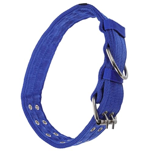 FIXOSHEE Luminöses Haustier aus Leichtem Strapazierfähigem Verstellbar für und Kleine Hunde Modisches Komfortables Accessoire mit Schutzfunktion Geeignet für Täglichen Gebrauch FIXOSHEE Luminöses Haustier aus Leichtem Strapazierfähigem Verstellbar für und Kleine Hunde Modisches Komfortables Accessoire mit Schutzfunktion Geeignet für Täglichen Gebrauch von FIXOSHEE
