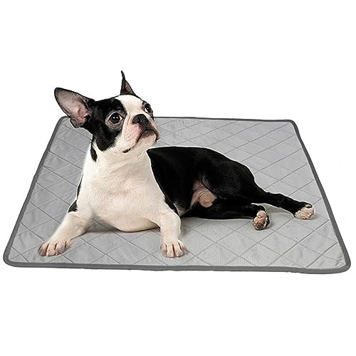 FIXOSHEE Multifunktionale Haustierkühlmatte Selbstkühlendes Hundekissen mit Rutschfester Unterseite Waschbar und Langlebig für Haustierbedarf für Katzen FIXOSHEE Multifunktionale Haustierkühlmatte Selbstkühlendes Hundekissen mit Rutschfester Unterseite Waschbar und Langlebig für Haustierbedarf für Katzen von FIXOSHEE