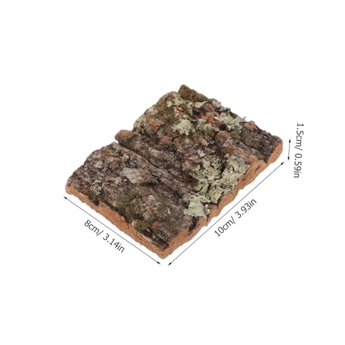 FIXOSHEE Natürliche Korkrinde Reptilien Terrarium Dekoration Stabile Kletterfläche Vielseitig für Aquarium Indoor Pflanzenwand Lebensechte Habitatgestaltung von FIXOSHEE