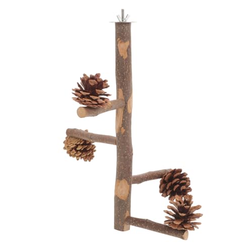 FIXOSHEE Papageien Sitzstange aus Robustem Naturholz mit Kletterzweigen und Spielkegel Vogelkäfig Sitzstange zur Beschäftigung Koordination und Balance Langlebiges Kauspielzeug für Vögel von FIXOSHEE