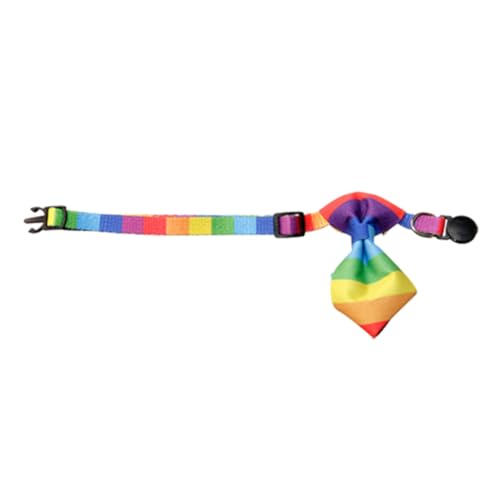 FIXOSHEE Regenbogenfliege Halskette Hund Kragen Haustier Schild Welpenhalsband für Katzenfliegen Katzenhalsband mit Fliege Katzenhalsbänder mit Fliege Stoff Bunt von FIXOSHEE