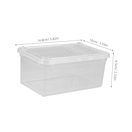 FIXOSHEE Reptilien Aufzuchtbox aus Acryl Lichtdurchlässig und Belüftet Wiederverwendbarer Futter Haltungskäfig für Spinnen Geckos Kleine Haustiere Robust und Praktisch Geeignet als von FIXOSHEE
