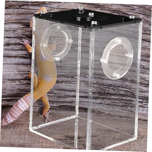 FIXOSHEE Reptilien Fütterungsbox aus Transparentem Atmungsaktiv und Wetterbeständig Stabiles Terrarium für Echsen Chamäleons Spinnen und Leicht und Tragbar für Zuhause und Outdoor FIXOSHEE Reptilien Fütterungsbox aus Transparentem Atmungsaktiv und Wetterbeständig Stabiles Terrarium für Echsen Chamäleons Spinnen und Leicht und Tragbar für Zuhause und Outdoor von FIXOSHEE