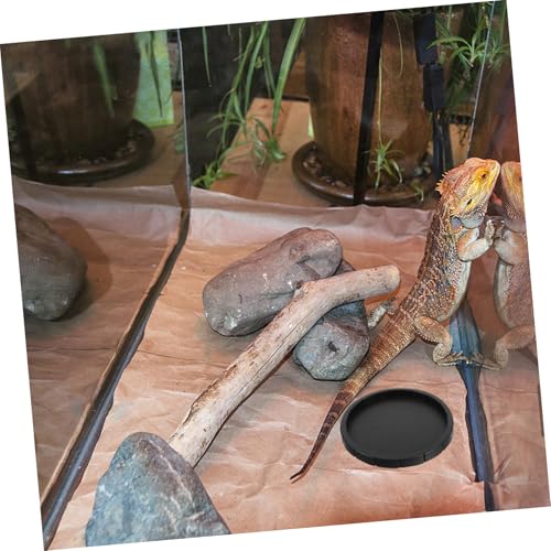 FIXOSHEE Reptilien Futter und Wassernapf mit Rutschfestem Boden Tragbare Kleine Futterschale für Schildkröten Echsen und Schlangen Vielseitig Verwendbar als Trink und Leicht zu Reinigen FIXOSHEE Reptilien Futter und Wassernapf mit Rutschfestem Boden Tragbare Kleine Futterschale für Schildkröten Echsen und Schlangen Vielseitig Verwendbar als Trink und Leicht zu Reinigen von FIXOSHEE