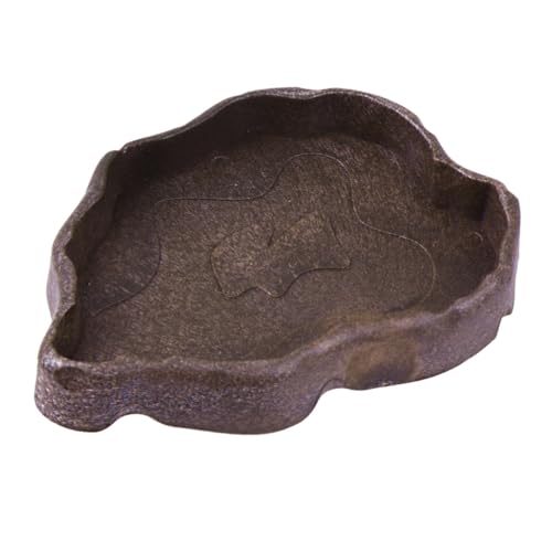 FIXOSHEE Reptilien Futter und Wasserschale aus Harz Kompakte Trinkschale für Kleine Eidechsen Frösche und Schildkröten Praktisches Futterbecken in Kaffee S Langlebig und Vielseitig für FIXOSHEE Reptilien Futter und Wasserschale aus Harz Kompakte Trinkschale für Kleine Eidechsen Frösche und Schildkröten Praktisches Futterbecken in Kaffee S Langlebig und Vielseitig für von FIXOSHEE