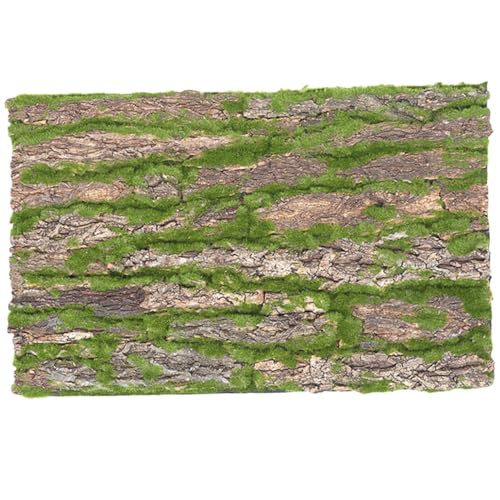 FIXOSHEE Reptilien Klettermatte Natürliches Terrarium für Schildkröten Eidechsen und Schlangen Kletterfläche für Artgerechtes Habitat FIXOSHEE Reptilien Klettermatte Natürliches Terrarium für Schildkröten Eidechsen und Schlangen Kletterfläche für Artgerechtes Habitat von FIXOSHEE