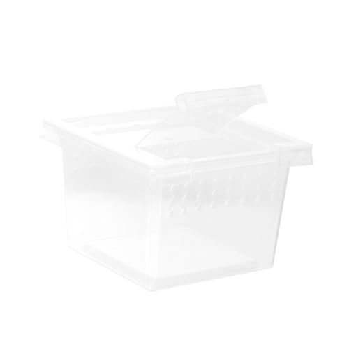 FIXOSHEE Reptilien Zuchtbox Transparent Kunststoff Futterbox für Spinnen Eidechsen Schlangen Schildkröten Geeignet Robuste Insektenbox Terrarium Behälter Langlebig Sichere Aufzucht FIXOSHEE Reptilien Zuchtbox Transparent Kunststoff Futterbox für Spinnen Eidechsen Schlangen Schildkröten Geeignet Robuste Insektenbox Terrarium Behälter Langlebig Sichere Aufzucht von FIXOSHEE