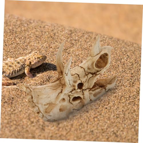 FIXOSHEE Resin Dinosaurier schädel Aquarium Versteck Höhle für Schildkröten Garnelen Reptilien Terrarium Dekoration Realistisches Fischbecken Ornament für Reptilien und Amphibien von FIXOSHEE