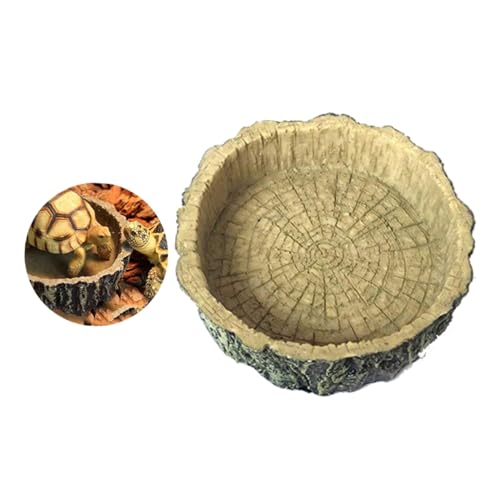 FIXOSHEE Resin Futterschale für Reptilien Umweltfreundlich Sicher und Langlebig Geeignet für Schildkröten Geckos Schlangen Spinnen und Kleine Reptilien Leicht zu Reinigen rutschfest von FIXOSHEE