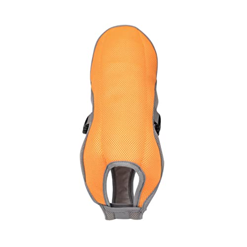 FIXOSHEE Sommerliche Kühlweste für Kleine Hunde Atmungsaktives Mesh Leichte Komfortable Kühljacke für Haustiere Einfache Handhabung Schutz vor Hitze S Orange FIXOSHEE Sommerliche Kühlweste für Kleine Hunde Atmungsaktives Mesh Leichte Komfortable Kühljacke für Haustiere Einfache Handhabung Schutz vor Hitze S Orange von FIXOSHEE