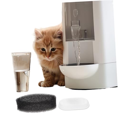 FIXOSHEE Teiliges Filterset für Haustier wasserspender Ersatzfilter für Edelstahl Trinkbrunnen Aktivkohle Schaumstofffilter Einfache Installation Effektive Wasserreinigung für Katzen und von FIXOSHEE