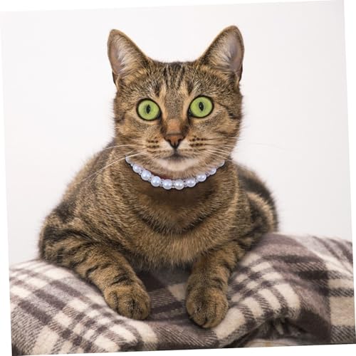 FIXOSHEE Verstellbares Perlenhalsband für Haustiere Imitationsperlen mit Schmuckverschluss Elegantes Katzen Hundehalsband Komfortabel und Stilvoll für Alltag und Party von FIXOSHEE