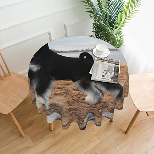 Tischdecke mit Tierschnauzer-Hund, 152,4 cm Durchmesser, rund, pflegeleicht, staubdicht, wasserdicht von FJAUOQ