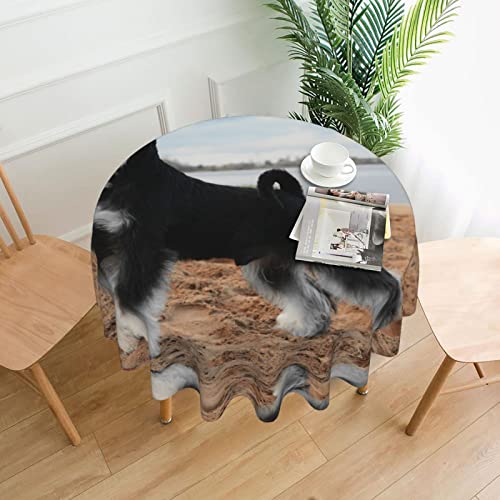 Tischdecke mit Tierschnauzer-Hund, 152,4 cm Durchmesser, rund, pflegeleicht, staubdicht, wasserdicht Tischdecke mit Tierschnauzer-Hund, 152,4 cm Durchmesser, rund, pflegeleicht, staubdicht, wasserdicht von FJAUOQ