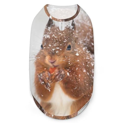 Britisches Rothörnchen 3D-Bedruckte Hundekleidung, stilvolle ärmellose Hundehemden, Weste, atmungsaktives Haustier-Tanktop, T-Shirt, Sweatshirt, Größe L Britisches Rothörnchen 3D-Bedruckte Hundekleidung, stilvolle ärmellose Hundehemden, Weste, atmungsaktives Haustier-Tanktop, T-Shirt, Sweatshirt, Größe L von FJQWKLF