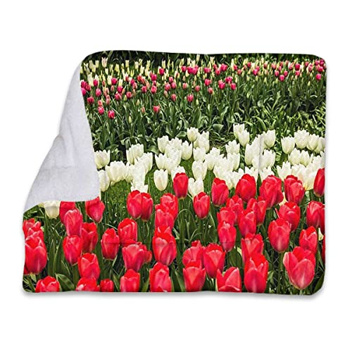 Elfenbein, grün, rot, weiche, warme Haustierdecke, Katzendecke, Gartentulpen, Blumenliebe, selbstwärmendes Katzenbett, selbstwärmende Katzen- und Hundematte, extra warme Thermo-Haustierunterlage, Bl Elfenbein, grün, rot, weiche, warme Haustierdecke, Katzendecke, Gartentulpen, Blumenliebe, selbstwärmendes Katzenbett, selbstwärmende Katzen- und Hundematte, extra warme Thermo-Haustierunterlage, Bl von FJQWKLF