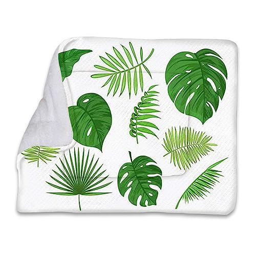 FJQWKLF Blassgrüne, selbstwärmende Haustierunterlage, Blatt, Natur, Dschungel, Wald, selbstwärmendes Katzenbett, superweiches Hundebett, Kistenbett, Decke, Party-Thema FJQWKLF Blassgrüne, selbstwärmende Haustierunterlage, Blatt, Natur, Dschungel, Wald, selbstwärmendes Katzenbett, superweiches Hundebett, Kistenbett, Decke, Party-Thema von FJQWKLF