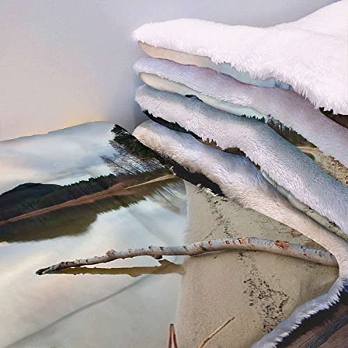 FJQWKLF Grünbraune Thermo-Bettmatte für Katzen und Hunde, Landschaft, See, Spiegelung der Berge, Matte, doppellagig, waschbar, für Hundebett, Couch, Sofa, Auto, Treibholz FJQWKLF Grünbraune Thermo-Bettmatte für Katzen und Hunde, Landschaft, See, Spiegelung der Berge, Matte, doppellagig, waschbar, für Hundebett, Couch, Sofa, Auto, Treibholz von FJQWKLF