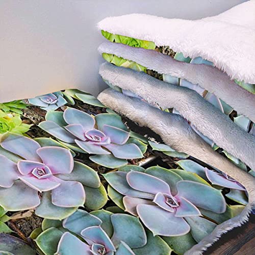 FJQWKLF Grüne Haustier-Katze-Schlafdecke, niedliche Sukkulenten, Blumenwüste, mit Thermisch wärmendem Körperwärme-reflektierendem Kernpolster, waschbares heißes Pflanzen-Kunstwerk FJQWKLF Grüne Haustier-Katze-Schlafdecke, niedliche Sukkulenten, Blumenwüste, mit Thermisch wärmendem Körperwärme-reflektierendem Kernpolster, waschbares heißes Pflanzen-Kunstwerk von FJQWKLF