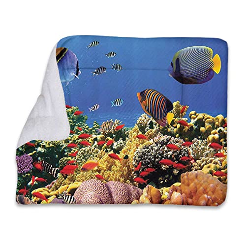 FJQWKLF Marineblaue rote Strohdecke, langlebig, wendbar, exotische Fische im ruhigen Roten Meer, selbstwärmendes Katzenbett, superweiches Hundebett, Kistenbettdecke, Ozean-Dekoration FJQWKLF Marineblaue rote Strohdecke, langlebig, wendbar, exotische Fische im ruhigen Roten Meer, selbstwärmendes Katzenbett, superweiches Hundebett, Kistenbettdecke, Ozean-Dekoration von FJQWKLF