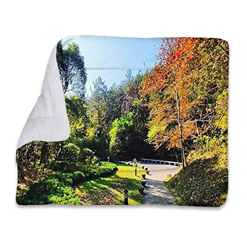 FJQWKLF Orange Green Pet Products Selbstwärmende Haustierunterlage Fall Valley Natural Season für Haustierbetten Haustierdecken und Zwinger Herbstlandschaftlich FJQWKLF Orange Green Pet Products Selbstwärmende Haustierunterlage Fall Valley Natural Season für Haustierbetten Haustierdecken und Zwinger Herbstlandschaftlich von FJQWKLF