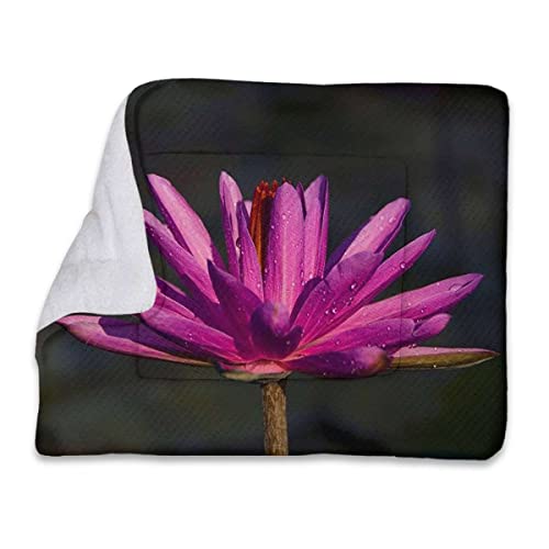 FJQWKLF Rosa, weiche, warme Haustier-Überwurfdecke für Haustiere, Blumen-Ombre-Farbwechsel, Blüten, superweiche Plüsch-Hundekistenunterlage für Reisen oder Zuhause, Romantisches Blumenmuster von FJQWKLF