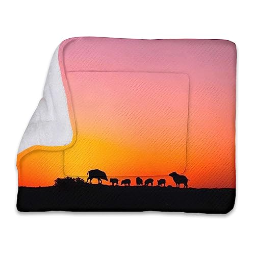 Gebranntes Orange und Schwarz, weicher, warmer Haustier-Fleece-Überwurf für kleine Hunde und Katzen, Panorama-Sonnenuntergangslandschaft, wiederverwendbare Haustierunterlagen, ideal für Hunde, Katze Gebranntes Orange und Schwarz, weicher, warmer Haustier-Fleece-Überwurf für kleine Hunde und Katzen, Panorama-Sonnenuntergangslandschaft, wiederverwendbare Haustierunterlagen, ideal für Hunde, Katze von FJQWKLF