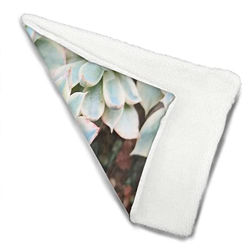 Grüne selbstwärmende Katzenunterlage, selbstwärmendes Katzenbett, süße Sukkulenten, Blumen, Wüste, weiches Flanell, verdicktes Haustier, weiche Fleece-Unterlage, Haustierbettmatte, heiße Pflanzenkun Grüne selbstwärmende Katzenunterlage, selbstwärmendes Katzenbett, süße Sukkulenten, Blumen, Wüste, weiches Flanell, verdicktes Haustier, weiche Fleece-Unterlage, Haustierbettmatte, heiße Pflanzenkun von FJQWKLF