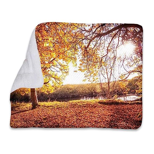 Orange-blaues, selbstwärmendes, umwandelbares Kuschelbett für Haustiere, Wald, Herbstlandschaft, Sonnenaufgang, selbstwärmende Käfigunterlage mit weichem Sherpa-Oberteil für Hunde, Katzen, Haustiere Orange-blaues, selbstwärmendes, umwandelbares Kuschelbett für Haustiere, Wald, Herbstlandschaft, Sonnenaufgang, selbstwärmende Käfigunterlage mit weichem Sherpa-Oberteil für Hunde, Katzen, Haustiere von FJQWKLF