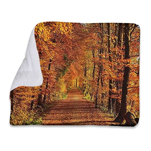 Orange-braune Thermo-Haustiermatte, Betteinlage, Wald, Herbst, Foto, Jahreszeit, Landschaft, Welpe, Hundedecke, Haustierdecke, kleiner Hund, für den Innenbereich, Katze, Kätzchen, Herbstbaumdekorati von FJQWKLF