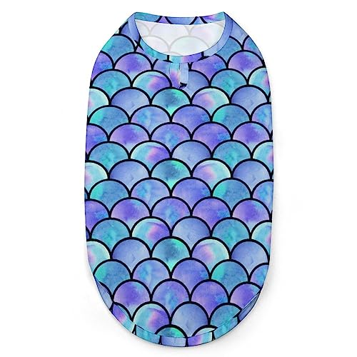 Rainbowcales ofermaid Hundehemd, Sommer-T-Shirt für Haustiere, weiches, ärmelloses Tanktop, Haustierkleidung, formelle Kleidung für Welpen und Katzen, Größe S Rainbowcales ofermaid Hundehemd, Sommer-T-Shirt für Haustiere, weiches, ärmelloses Tanktop, Haustierkleidung, formelle Kleidung für Welpen und Katzen, Größe S von FJQWKLF