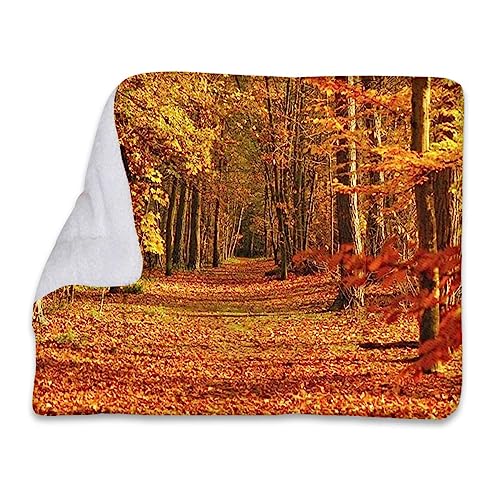 Selbstheizendes Kissen für Katzen und Hunde, orange, braun, Wald, Herbst, Foto, Jahreszeit, Landschaft, für Hundebett, Zwinger, Kiste, Autositz, Möbel, Couch, Sofa, Herbstbaumdekoration von FJQWKLF