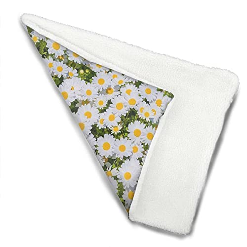 Weiß, gelb, grün, wärmende Bettmatte für Katzen und Hunde, floral, blühende Kamille, wild, weicher Plüsch, Herbst-Winter-Thermo-Haustierbett, Schlummerschlafen für Kätzchen, Welpen, Kaninchen, Land Weiß, gelb, grün, wärmende Bettmatte für Katzen und Hunde, floral, blühende Kamille, wild, weicher Plüsch, Herbst-Winter-Thermo-Haustierbett, Schlummerschlafen für Kätzchen, Welpen, Kaninchen, Land von FJQWKLF