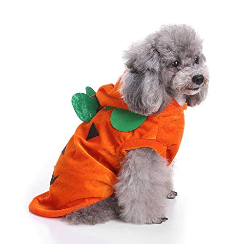 FJROnline Halloween Orange Kürbis Hund Kostüm Hundekleidung für kleine Hunde Weiche Winterkleidung Halloween Welpen Haustier Mantel Kleidung (S) von FJROnline