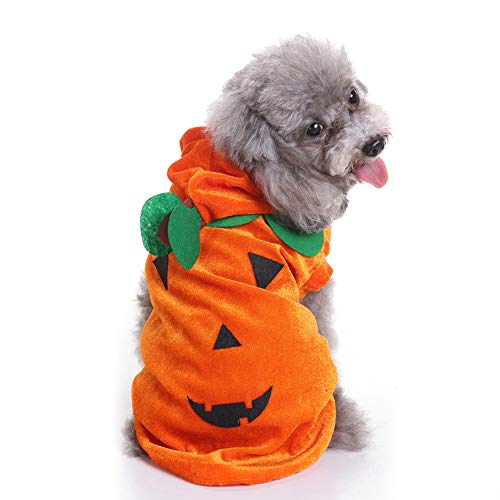 FJROnline Halloween Orange Kürbis Hund Kostüm Hundekleidung für kleine Hunde Weiche Winterkleidung Halloween Welpen Haustier Mantel Kleidung (L) von FJROnline