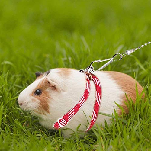 FJROnline Verstellbares Hamstergeschirr und Leinen, Anti-Biss-Brustgurte, Traktionsseil für Meerschweinchen von FJROnline