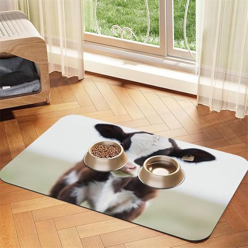 Futtermatte für Haustiere, saugfähiges PU-Leder, für Hunde und Katzen, schützt den Boden, rutschfeste Gummi-Unterseite, leicht zu reinigen, 40 x 60 cm Futtermatte für Haustiere, saugfähiges PU-Leder, für Hunde und Katzen, schützt den Boden, rutschfeste Gummi-Unterseite, leicht zu reinigen, 40 x 60 cm von FJWSLCH