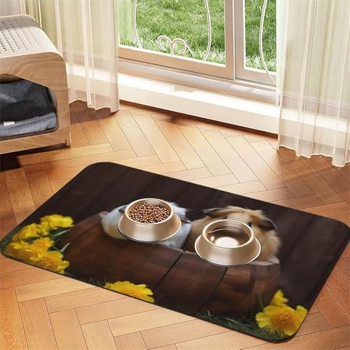 Futtermatte für Meerschweinchen, saugfähig, PU-Leder, für Hunde und Katzen, schützt den Boden, rutschfeste Gummi-Unterseite, leicht zu reinigen, 30 x 45 cm Futtermatte für Meerschweinchen, saugfähig, PU-Leder, für Hunde und Katzen, schützt den Boden, rutschfeste Gummi-Unterseite, leicht zu reinigen, 30 x 45 cm von FJWSLCH