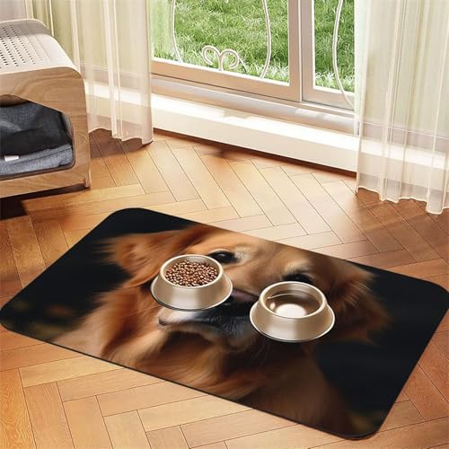 Golden Retriever Futtermatte für Haustiere, saugfähig, PU-Leder, für Hunde und Katzen, schützt den Boden, rutschfeste Gummi-Unterseite, leicht zu reinigen, 40 x 60 cm Golden Retriever Futtermatte für Haustiere, saugfähig, PU-Leder, für Hunde und Katzen, schützt den Boden, rutschfeste Gummi-Unterseite, leicht zu reinigen, 40 x 60 cm von FJWSLCH
