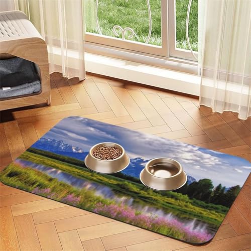 Grand Teton Futternapf-Matte für Haustiere, saugfähig, PU-Leder, für Hunde und Katzen, schützt den Boden, rutschfeste Gummi-Unterseite, leicht zu reinigen, 30 x 45 cm von FJWSLCH