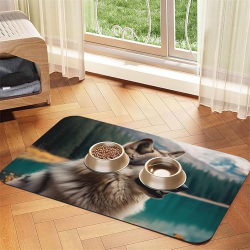 Lustige Tier-Futtermatte mit Wolfmotiv, saugfähig, PU-Leder, für Hunde und Katzen, schützt den Boden, rutschfeste Gummi-Unterseite, leicht zu reinigen, 40 x 60 cm Lustige Tier-Futtermatte mit Wolfmotiv, saugfähig, PU-Leder, für Hunde und Katzen, schützt den Boden, rutschfeste Gummi-Unterseite, leicht zu reinigen, 40 x 60 cm von FJWSLCH