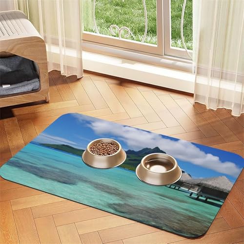 Tahiti Beach Haustier-Futtermatte, saugfähig, PU-Leder, für Hunde und Katzen, schützt den Boden, rutschfeste Gummi-Unterseite, leicht zu reinigen, 30 x 45 cm von FJWSLCH