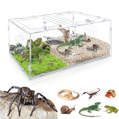 Springspinnengehege Acryl Doppelfach Spinnenterrarium Reptiliengehege für kleine Baumbewohner Reptilien Vogelspinne Amphibien Wirbellose Insektenterrarium mit Verriegelungsriegel Springspinnengehege Acryl Doppelfach Spinnenterrarium Reptiliengehege für kleine Baumbewohner Reptilien Vogelspinne Amphibien Wirbellose Insektenterrarium mit Verriegelungsriegel von FJZPCHZ
