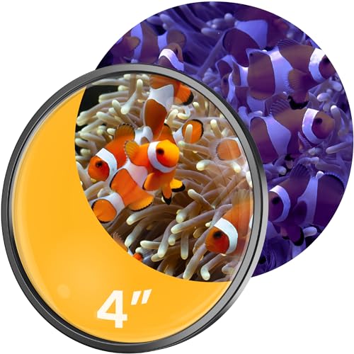 FL!PPER DeepSee Orange Filter - Orange Filter Linse für DeepSee Magnetische Lupe - Farbige Fischtank Lupe Linse für Korallenfotografie - Flipper Fischtank Zubehör, 10,2 cm von FL!PPER