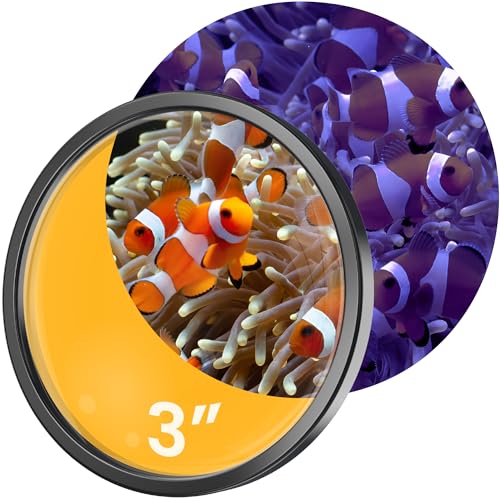 FL!PPER DeepSee Orangenfilter – Orange-Filterlinse für DeepSee magnetische Lupe – farbige Aquariumlupe für Korallenfotografie – Flipper Aquarium-Zubehör, 7,6 cm von FL!PPER