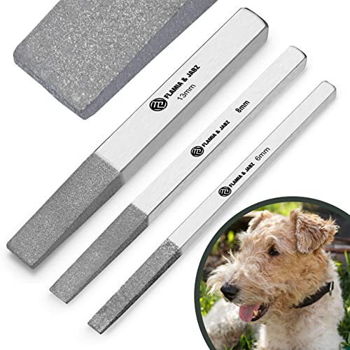 FLAMIA & JABZ Metallsteine und Nagelfeile für Hunde, Katzen und Haustiere, 3 Stück FLAMIA & JABZ Metallsteine und Nagelfeile für Hunde, Katzen und Haustiere, 3 Stück von FLAMIA & JABZ