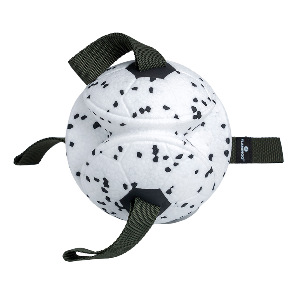 FLAMINGO™ Hundespielzeug Kona Ball grün, Durchmesser:  ca. 15 cm von FLAMINGO™