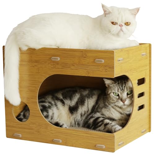 FLARUZIY Würfelförmiger Katzenkratzer, 2-in-1-Doppelschicht-Kratzer, Lounge-Katzenhaus mit 2 Kratzbäumen, einfach zu montieren von FLARUZIY
