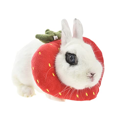 FLAdorepet Kaninchenschutzkegel für nach Operationen, Elizabeth Halswiederherstellungshalsband für Kleintiere, Hasentoast, Avocado-Kostüm (klein (1 Stück), Erdbeere) von FLAdorepet